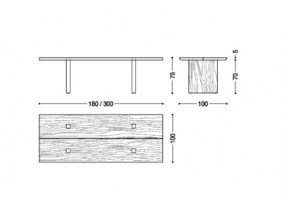 Celerina dining table_dimensions